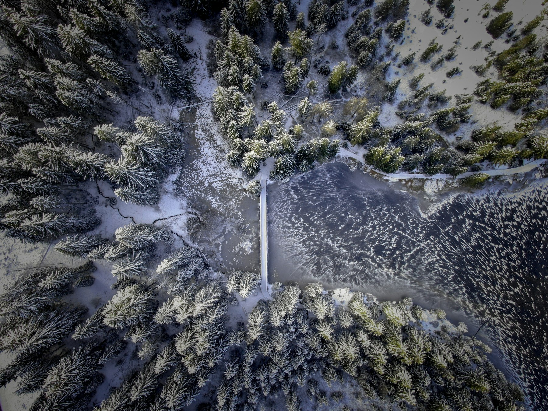 Aerial view of a forested valley in winter