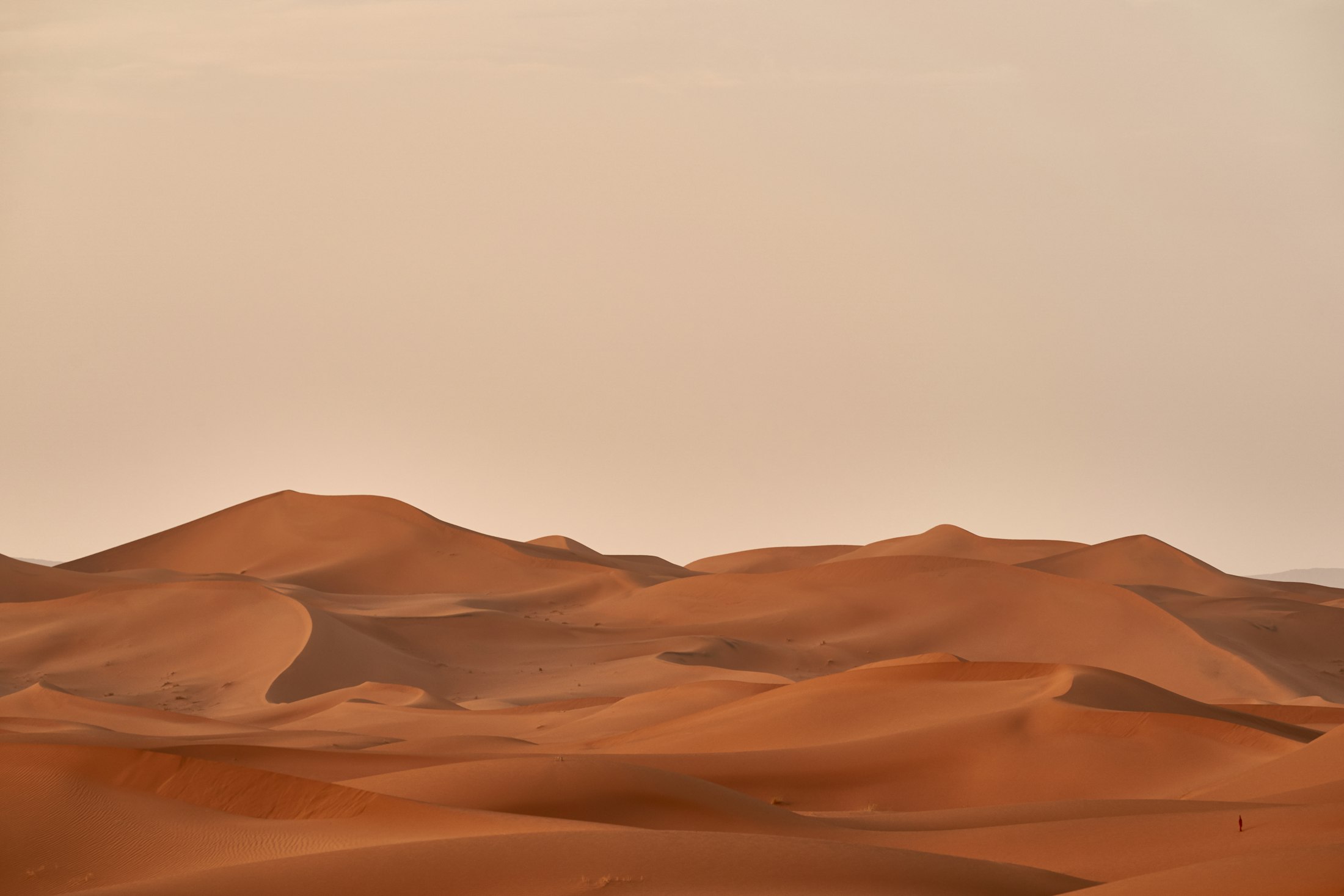 Wind-shaped sand dunes at first light